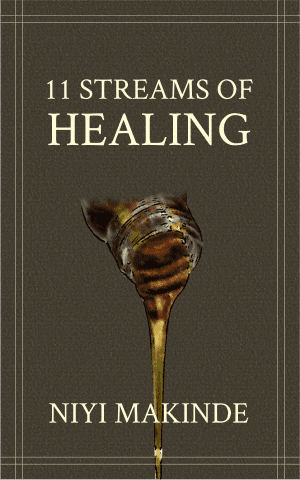 11 Streams of Healing by Niyi Makinde