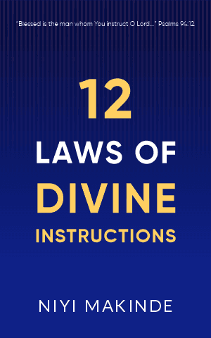 12 Laws of Divine Instructions by Niyi Makinde