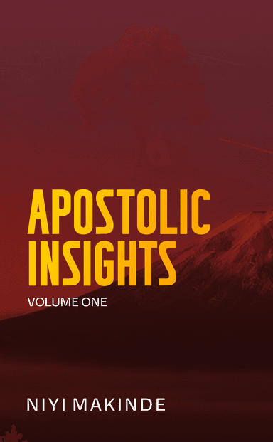 Apostolic Insights 1 by Niyi Makinde