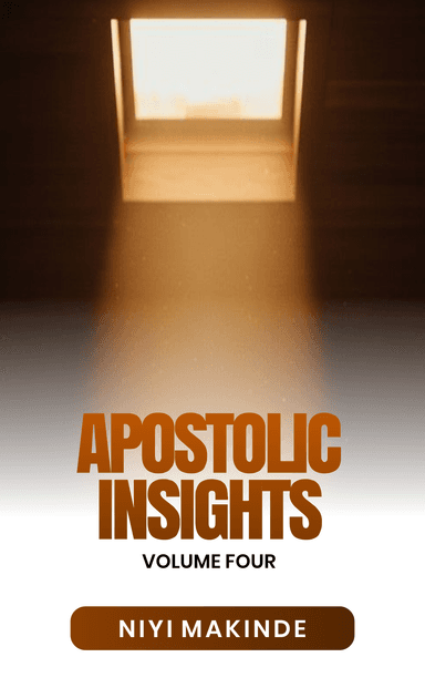 Apostolic Insights 4 by Niyi Makinde