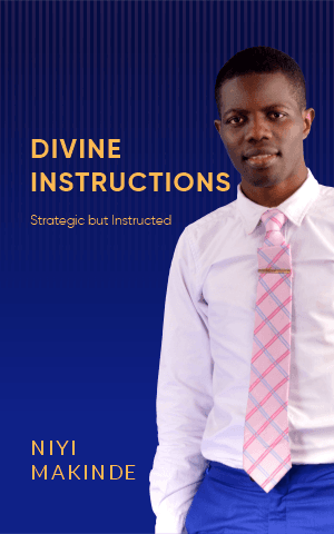 Divine Instructions by Niyi Makinde