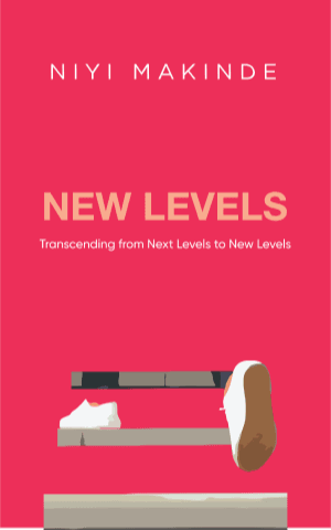 New Levels by Niyi Makinde