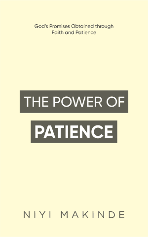 The Power of Patience by Niyi Makinde