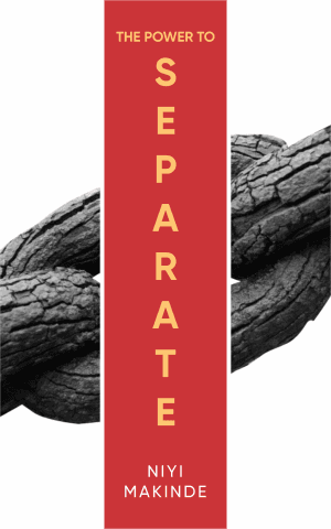 The Power to Separate by Niyi Makinde